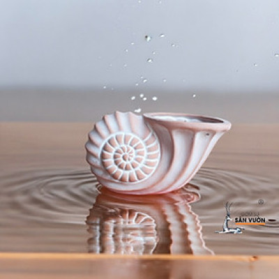 Chậu Đất Nung Hình Vỏ Sò Nhỏ
