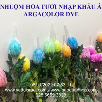 Thuốc Bột Nhuộm Hoa Tươi  màu thực phẩm Ấn Độ (Combo 3 hộp tùy màu) giúp đổi màu hoa cắt cành (1 hủ pha 12L nước màu)