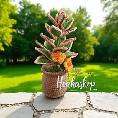  Chậu cây mini handmade – Điểm nhấn xinh xắn cho góc nhỏ của bạn 