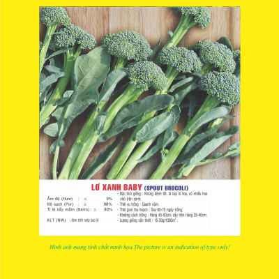 Hạt giống bông cải xanh baby - lơ xanh baby VTP52