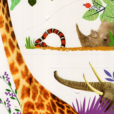  Lift-The-Flap - Lật Mở Khám Phá: First 100 Animals - 100 Từ Đầu Tiên Về Các Loài Động Vật