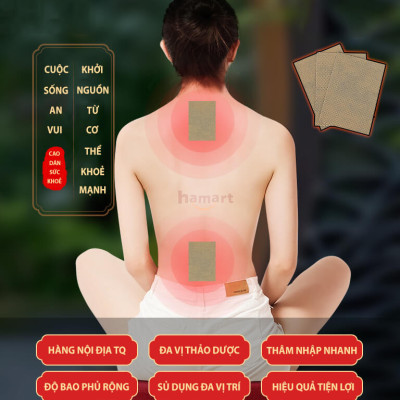 Túi 20 Miếng Dán Giảm Đau Xương Khớp Đông Y Cao Dán Ngải Cứu Giảm Vai Gáy Cột Sống Hiệu Quả