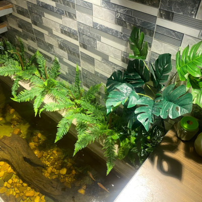 Cây dương xỉ giả giống thật 99% – Đường kính 40 đến 50 cm – Cây dương sỉ giả, hoa lụa decor trang trí rẻ, bền, đẹp.