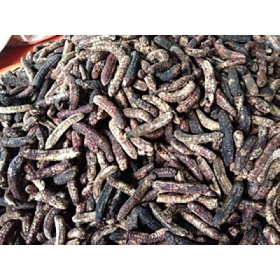 chuối hột rừng tây nguyên phơi khô 1kg