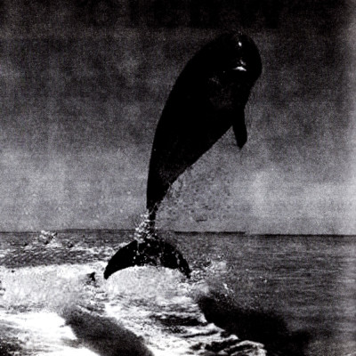 Sức Mạnh Của Sự Khích Lệ - FN