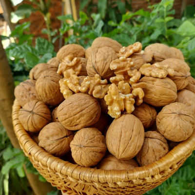 Quả óc chó Mỹ còn vỏ ( hũ 300gr )