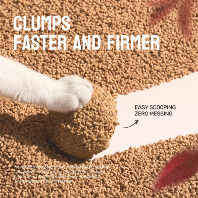 CÁT VỆ SINH CHO MÈO CATURE PURCATS NATURAL MIRACLE THƠM TỰ NHIÊN & THẤM HÚT,SIÊU KHỬ MÙI [ 2.5kg ]