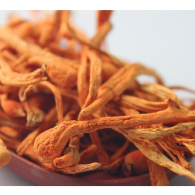 QUẢ THỂ KHÔ ĐÔNG TRÙNG HẠ THẢO VINACORDY-10G