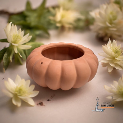 Chậu Treo Gốm Đất Nung Hình Bí Ngô