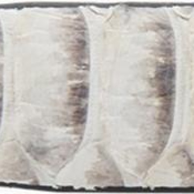 Thắt Lưng Da Trăn Vip Huy Hoàng HT5311 - Trắng