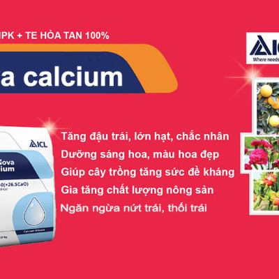 Phân Bón Israel NovAcid Calcium 15.5-0-0 (+26.5 Cao), Hoà Tan 100% Hạn chế rụng trái non, tăng đậu trái và sức đề kháng cho cây trồng