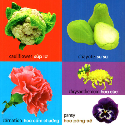 101 First Words - Plants (101 Từ Đầu Tiên - Thực Vật) _ML