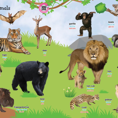 Combo HÀNH TRANG CHO BÉ TỰ TIN VÀO LỚP MỘT - Tặng bộ thẻ chữ cái và chữ ghép