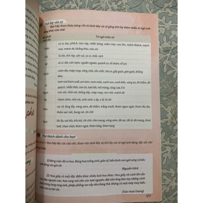 Sách - Chinh phục tiếng việt 4