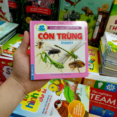 Từ Điển Hình Ảnh Cho Bé - Côn Trùng