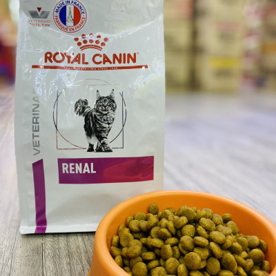 [Mèo bệnh Thận] Royal Canin RENAL CAT - Hỗ Trợ chức năng THẬN CHO MÈO