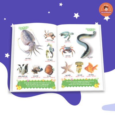 Combo Từ Điển Tranh Về Rau - Củ - Quả - Hoa + Từ Điển Tranh Về Các Con Vật (Bìa Cứng)