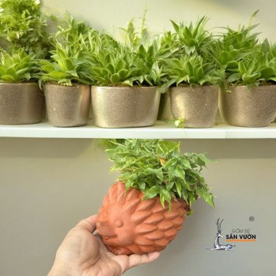Chậu Gốm Đất Nung Mini Hình Con Nhím - Chậu Trồng Sen Đá Hình Con Vật Dễ Thương