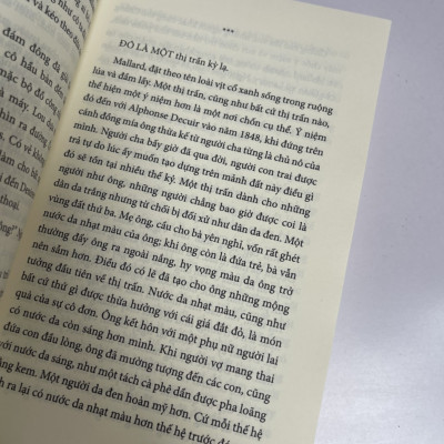 [New York Times Bestseller] NỬA KIA BIỆT TÍCH – Brit Bennet - Huyhoangbooks