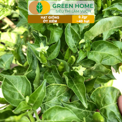 Hạt Giống Ớt Xiêm Greenhome, Gói 0,2gr, Dễ Trồng, Sai Trái, Siêu Cay G09
