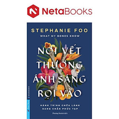 Nơi Vết Thương Ánh Sáng Rọi Vào