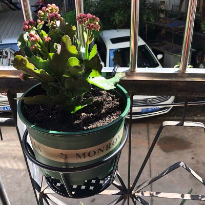 Giỏ treo chậu hoa ban công mạ chống han gỉ - GTC