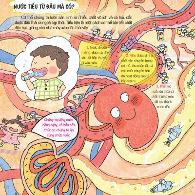 Cơ Thế Siêu Rắc Rối - Nước Tiểu Thật Khó Hiểu _LL