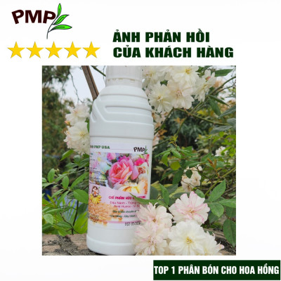 Combo 2 Chai Phân SOYMIC PMP Siêu Phân Bón Ủ Vi Sinh Từ Đậu Nành, Trứng, Chuối, Vi Lượng Cho Hoa Hồng, Rau Sạch