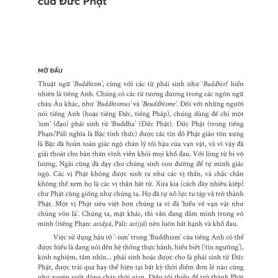 Tư Tưởng Phật Giáo - Một Giới Thiệu Toàn Diện Về Truyền Thống Ấn Độ