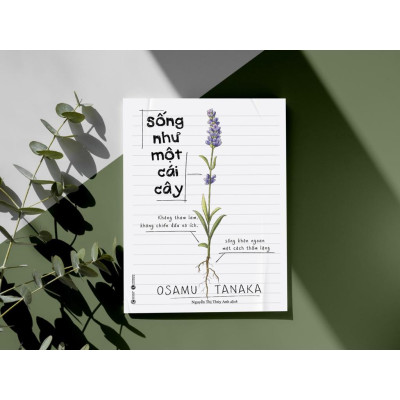 Sách - Sống Như Một Cái Cây: Không Tham Lam, Không Chiến Đấu Vô Ích, Sống Khôn Ngoan Một Cách Thầm Lặng