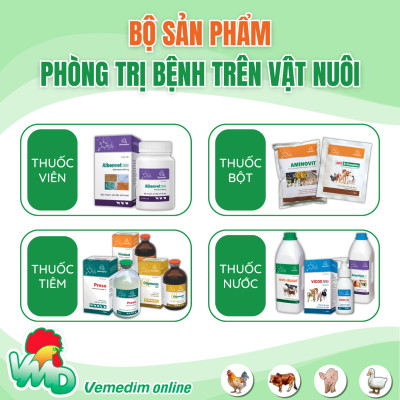 AMOXI 20% LA Thuốc tiêm đặc trị viêm phổi, viêm vú, viêm tử cung, tiết niệu, tác động kéo dài 48h dùng cho chó, mèo, Chai 100ml, sản phẩm Vemedim