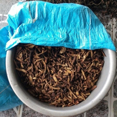 Cây mật nhân họ thanh thất