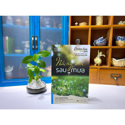 Sách - Hạt Giống Tâm Hồn - Nắng Ấm Sau Mưa