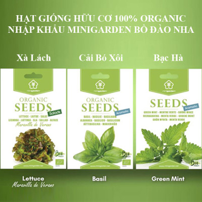 Set 3 Túi Hạt Giống Hữu Cơ Xà Lách Lettuce "Maravilla De Verano" Nhập Khẩu Minigarden Bồ Đào Nha 100% Organic (Túi từ 1.500 - 2.100 hạt) Tỷ lệ nảy mầm cao