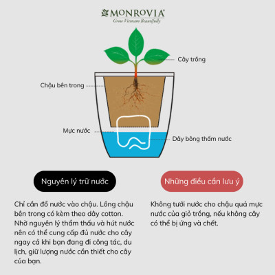 Chậu tự tưới treo tường K01 MONROVIA dành cho cây, hoa, decor không gian sống, văn phòng