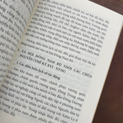 XÃ HỘI ĐÔNG NAM BỘ từ khởi thuỷ đến đầu thế kỷ XXI - Huỳnh Ngọc Đáng – Nxb Tổng hợp Tp Hồ Chí Minh (bìa mềm)