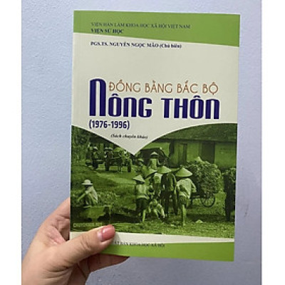 Nông thôn đồng bằng Bắc Bộ (1976-1996) - Sách chuyên khảo - NXB Khoa học Xã hội