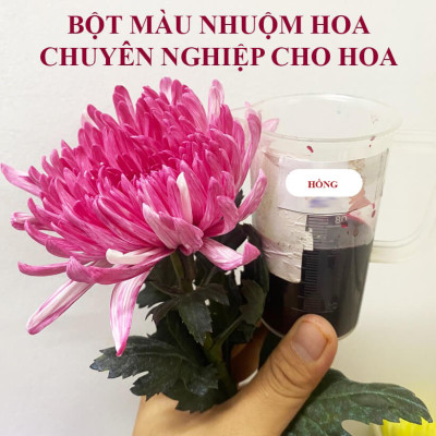 Thuốc Bột Nhuộm Hoa Tươi  màu thực phẩm Ấn Độ (Combo 3 hộp tùy màu) giúp đổi màu hoa cắt cành (1 hủ pha 12L nước màu)
