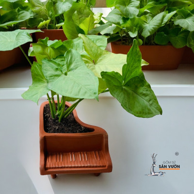 Chậu Gốm Đất Nung Mini Hình Đàn Piano -  Chậu Gốm Decor