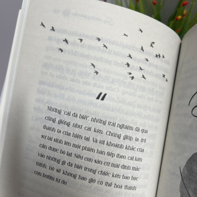(Bìa cứng) SỐNG NHƯ BÔNG PH.Á.O H.O.A - Hành trình khám phá điều quý giá nhất cuộc đời  – Ruby Nguyen – Thái Hà- NXB Hà Nội