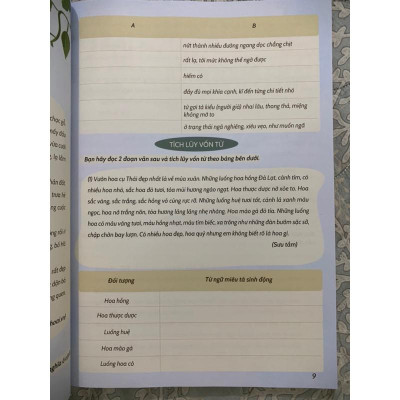 Sách - Chinh phục tiếng việt 4