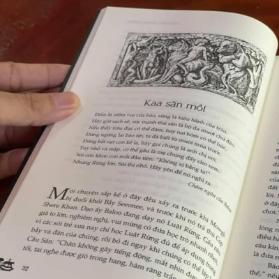 CHUYỆN RỪNG XANH (Bìa mềm)