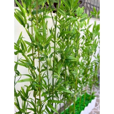 Cành trúc giả Cây trúc giả xịn nhiều lá - Size từ 120cm đến 200cm - Cây giả, hoa lụa Decor trang trí nhà cửa
