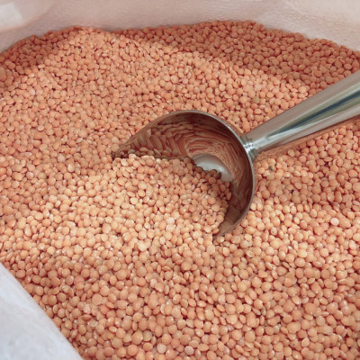 Đậu lăng đỏ Ấn Độ/Canada không biến đổi gen_Red Lentils from India/Canada non GMO