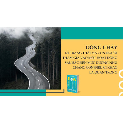 Sách - Flow - Dòng Chảy - Mihaly Csikszentmihalyi - First News