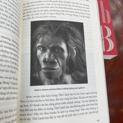 LƯỢC SỬ NGÔN NGỮ - chuyện kể về phát minh vĩ đại nhất của loài người