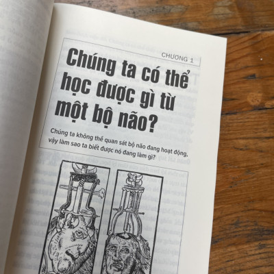 (Combo 2 cuốn Anne Rooney) TƯ DUY NHƯ NHÀ TÂM LÝ HỌC và TƯ DUY NHƯ NHÀ TOÁN HỌC – Nhã Nam – NXB Thế Giới (Bìa mềm)