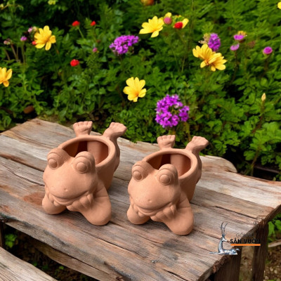 Chậu Gốm Đất Nung Hình Con Ếch Nằm - Chậu Decor và Trồng Cây