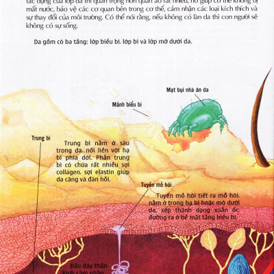 Thế Giới Những Điều Chưa Biết (Tập 5) - Cơ Thể Người