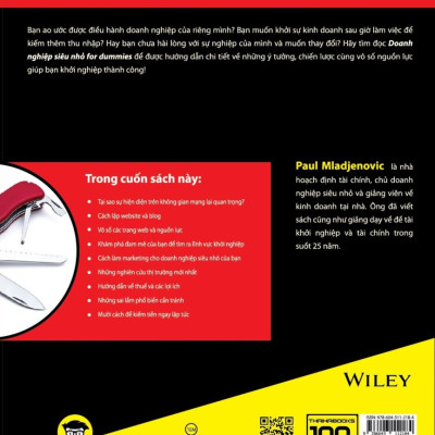Doanh Nghiệp Siêu Nhỏ For Dummies - Paul Mladjenovic - Chi Nhân dịch - (bìa mềm)